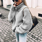 Elisa Chunky Turtleneck Sweater