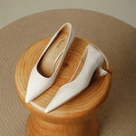 Pauline Pointed Toe Low Heel Pumps