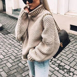 Elisa Chunky Turtleneck Sweater
