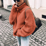 Elisa Chunky Turtleneck Sweater