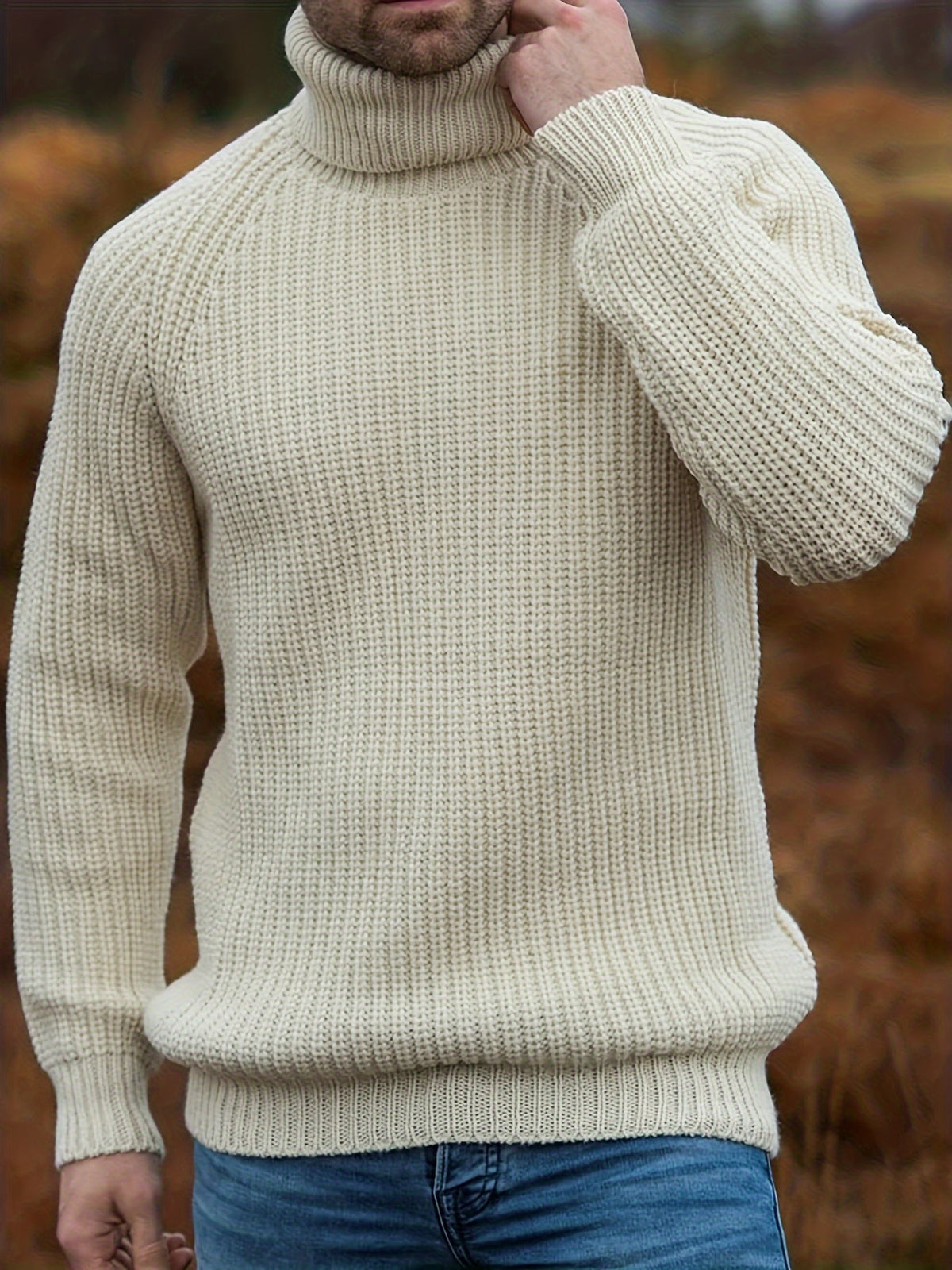 Alexander Turtleneck Knit Winter Sweater
