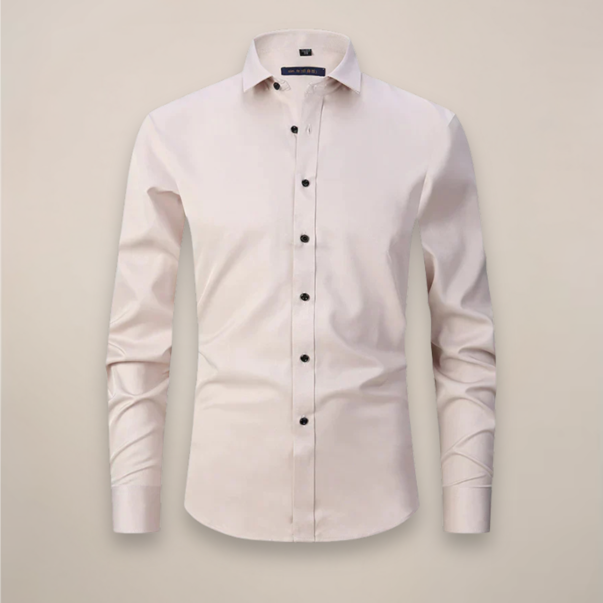 Gabriela Tailored Everyday Shirt