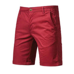 Michael Tailored Fit Smart-Casual Shorts