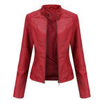 Kirsten Faux Leather Zip Biker Jacket