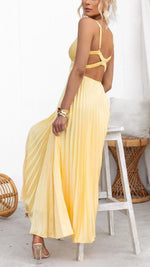 Barbara V-Neck Pleated Maxi Dress