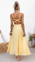 Barbara V-Neck Pleated Maxi Dress