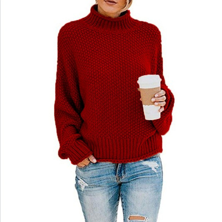 Elisa Chunky Turtleneck Sweater