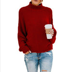 Elisa Chunky Turtleneck Sweater