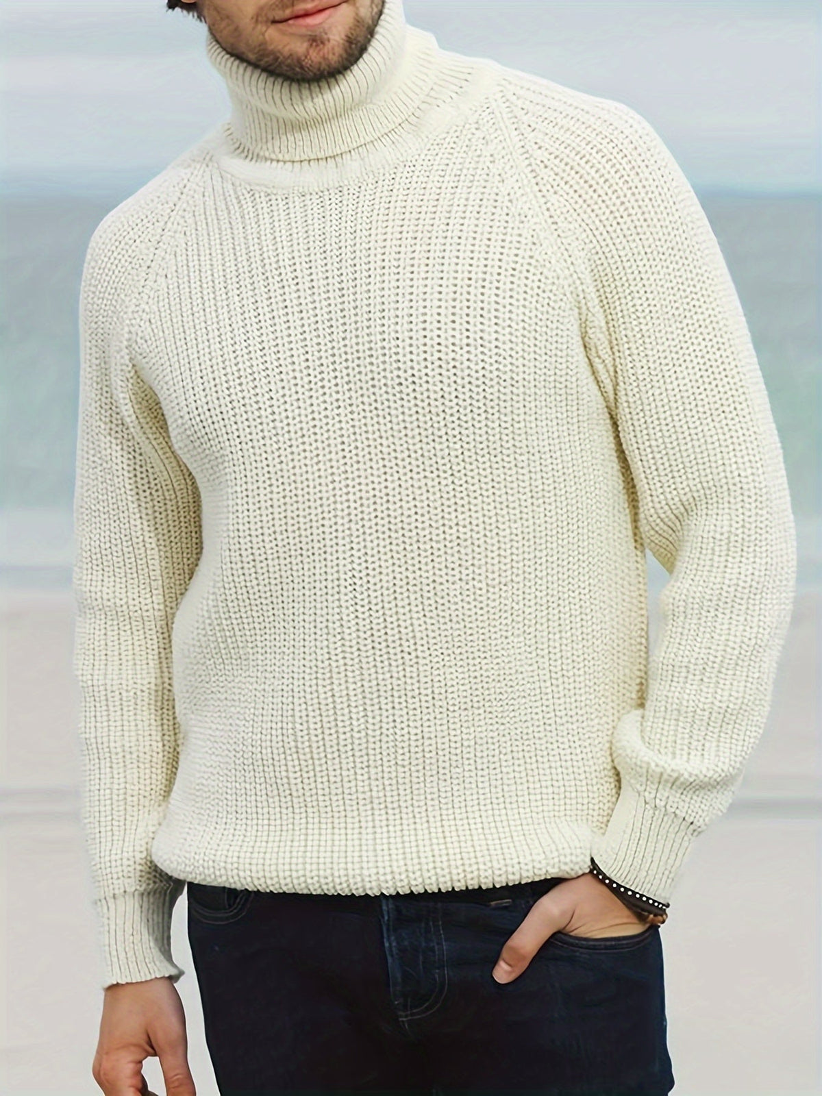 Alexander Turtleneck Knit Winter Sweater
