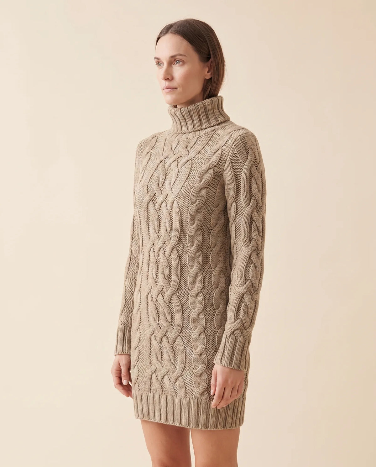 Cecily Sweater Dress for Women - Cable Knit Turtleneck Long Sleeve