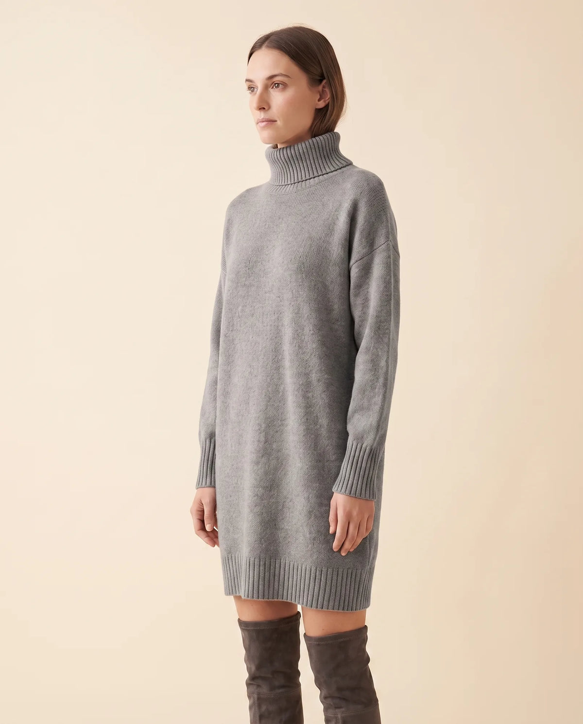 Tess Sweater Dress for Women - Turtleneck Long Sleeve Relaxed