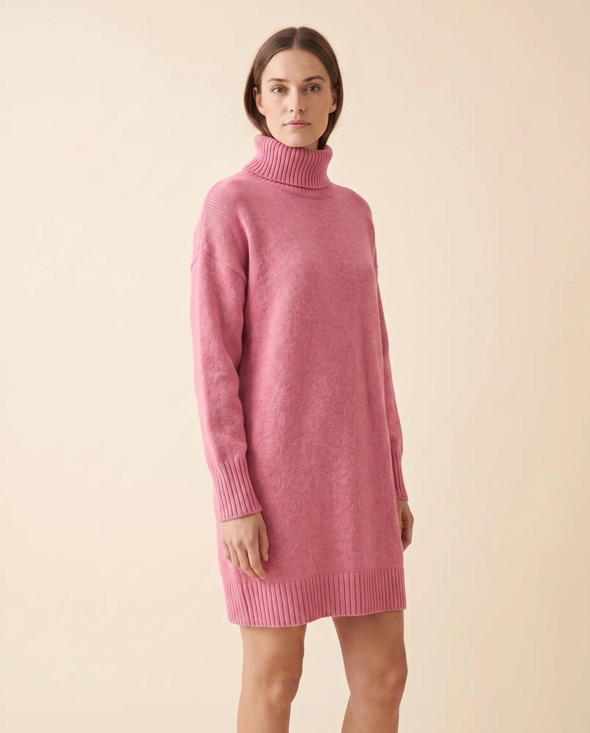 Tess Sweater Dress for Women - Turtleneck Long Sleeve Relaxed