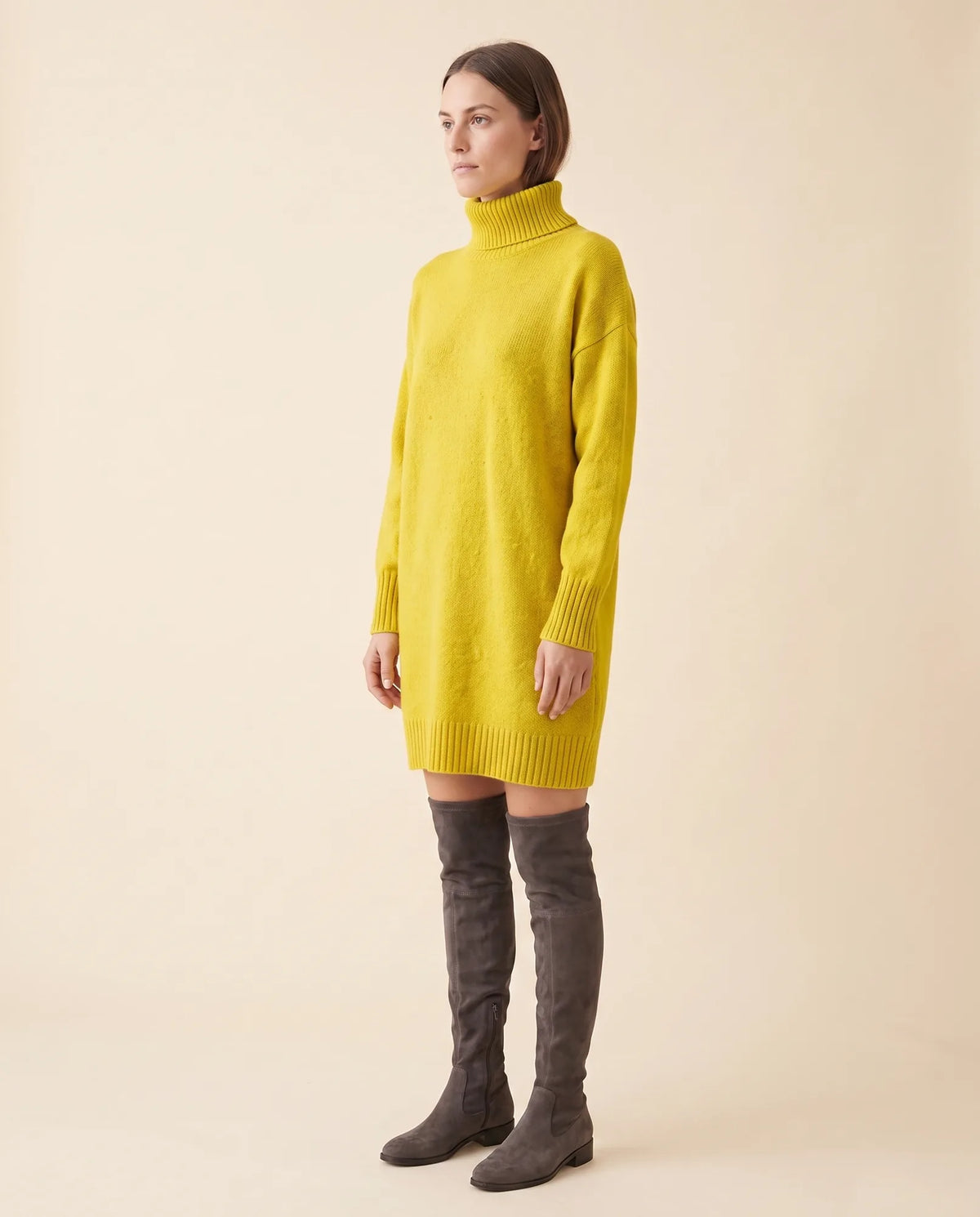 Tess Sweater Dress for Women - Turtleneck Long Sleeve Relaxed