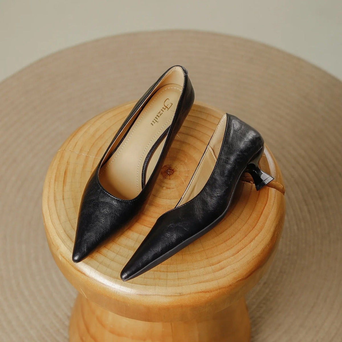 Pauline Pointed Toe Low Heel Pumps