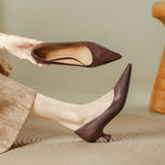 Pauline Pointed Toe Low Heel Pumps