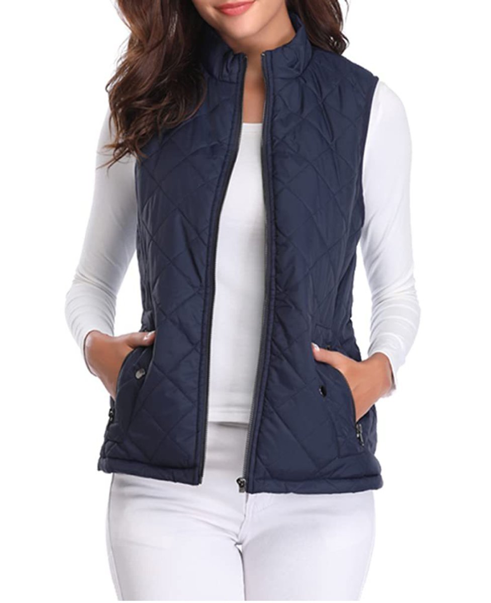 Leonie Lightly Lined Zip-Up Puffer Vest
