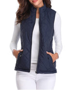 Leonie Lightly Lined Zip-Up Puffer Vest