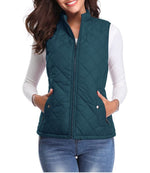 Leonie Lightly Lined Zip-Up Puffer Vest