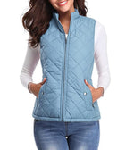 Leonie Lightly Lined Zip-Up Puffer Vest