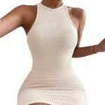 Hannah Fitted Sleeveless Crew Neck Knit Dress