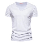Niklas Wrinkle-Free Cotton V-Neck Tee