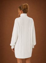 Women's Turtleneck Sweater Dress - Pullover Knit Dress | Areleon