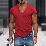 Alexander Deep V-Neck Casual T-Shirt
